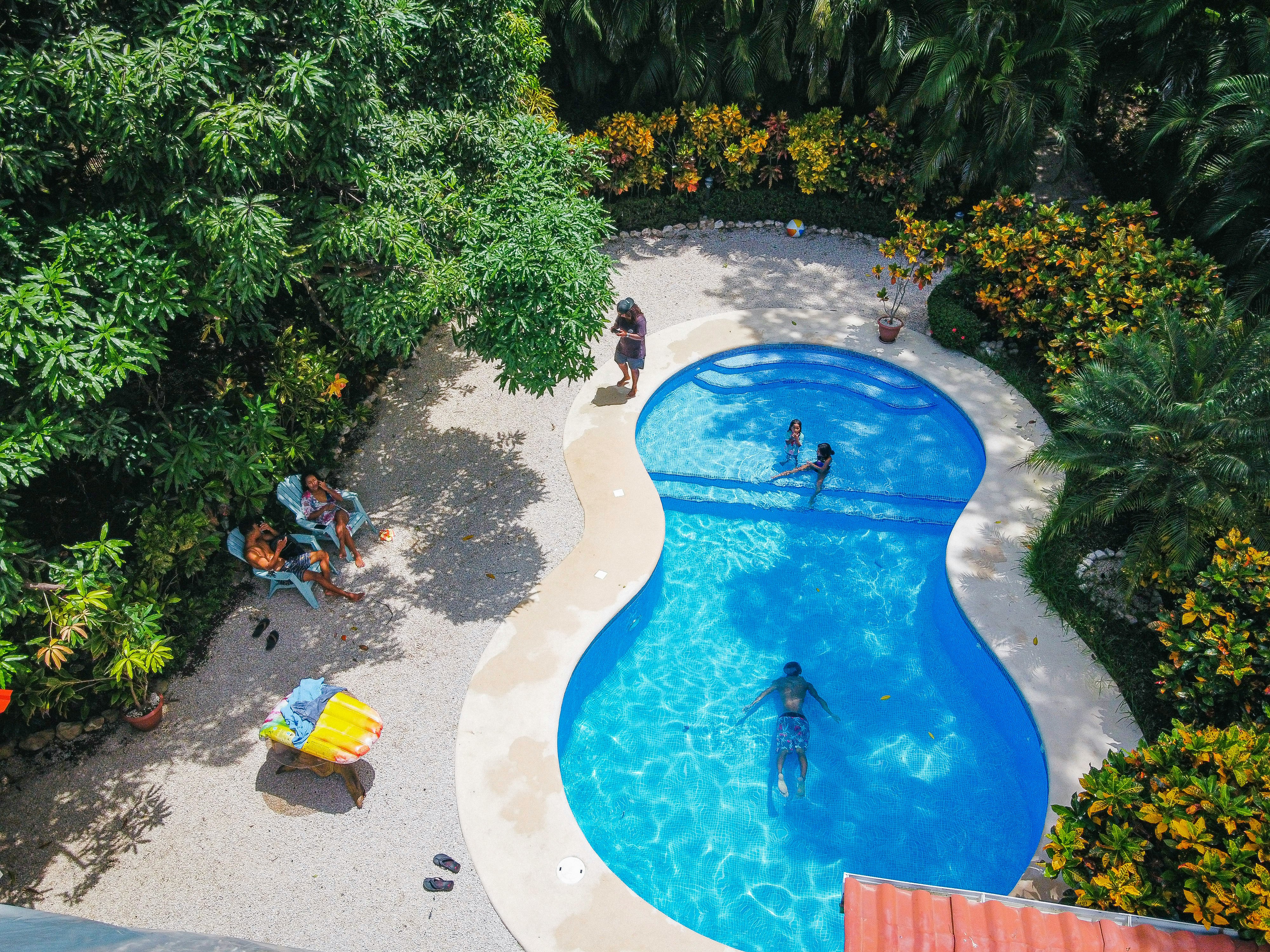 blue swimming pool beside green plants during daytime